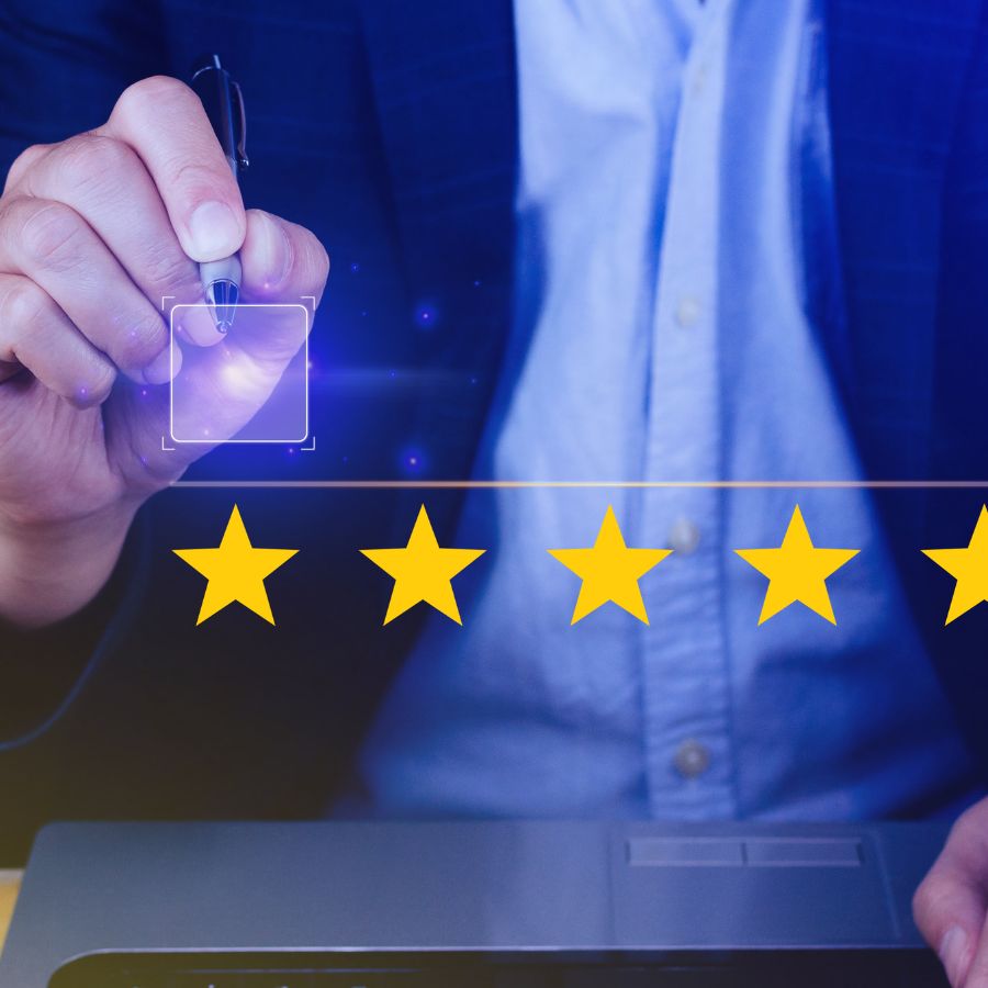 Customer reviews and business reputation management